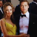 Brad Pitt Angelina Jolie Divorce Settlement